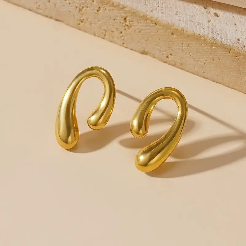 Abstract Earrings